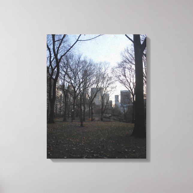 Central Park. Impression de toile NYC (Recto)