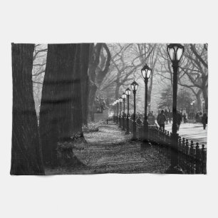 Central Park in New York City Kitchen Towel