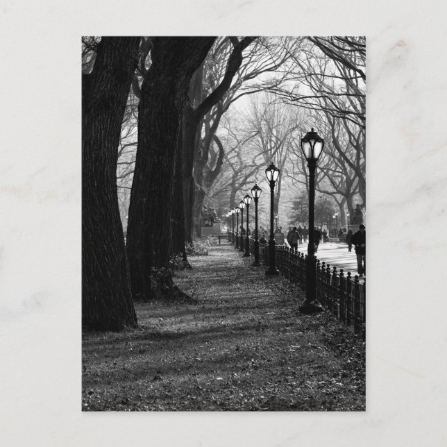 Central Park in New York City Postcard (Front)