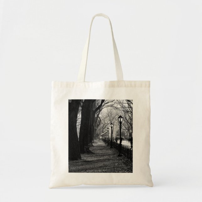 Central Park in New York City Tote Bag (Front)
