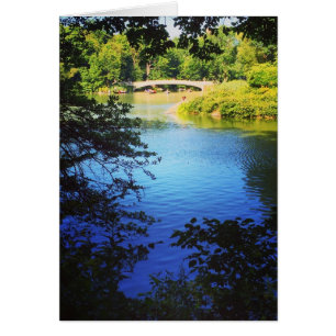 Central Park Lake Bow Bridge NYC New York Photo