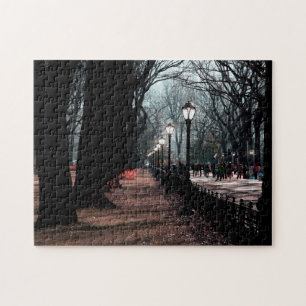 Central Park Landscape Lampposts Photo Jigsaw Puzzle