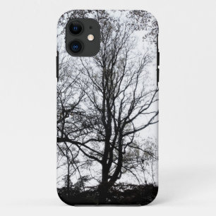 Central Park late autumn almost Barren Tree B&W iPhone 11 Case