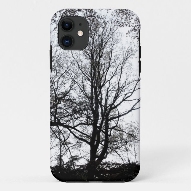 Central Park late autumn almost Barren Tree B&W Case-Mate iPhone Case (Back)