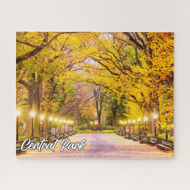 Central Park, Manhattan, New York, USA Jigsaw Puzzle (Horizontal)