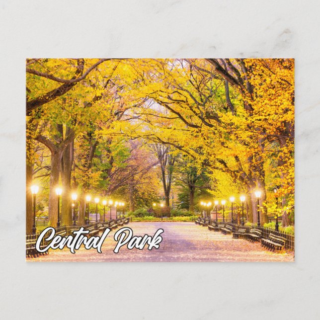 Central Park, Manhattan, New York, USA Postcard (Front)
