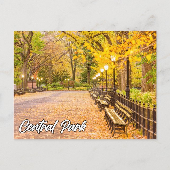 Central Park, Manhattan, New York, USA Postcard (Front)