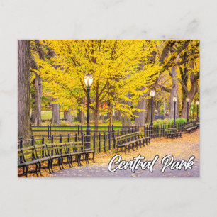 Central Park, Manhattan, New York, USA Postcard