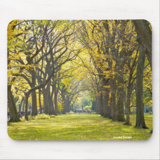 Central Park Mousepad