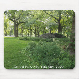 Central Park Nature New York City Trees Mousepad