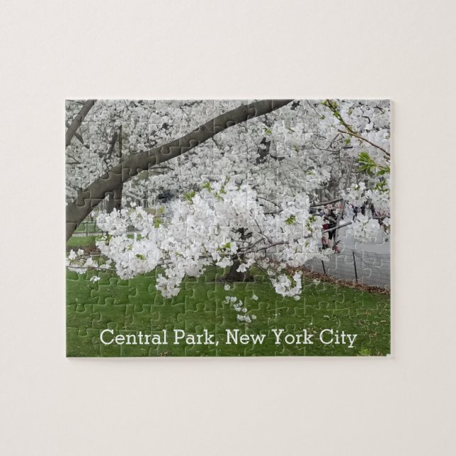 Central Park New York Blossoming Tree in Spring Jigsaw Puzzle (Horizontal)