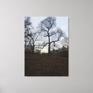 Central Park, New York City, USA Canvas Print