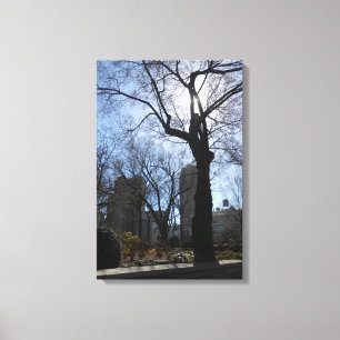 Central Park, New York City, USA Canvas Print