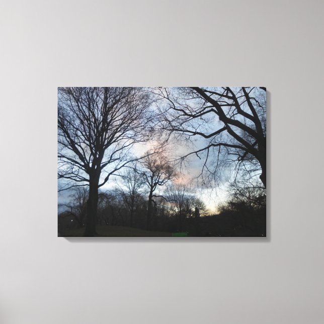 Central Park, New York City, USA Canvas Print (Front)