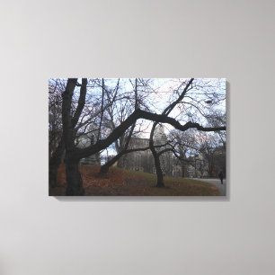 Central Park, New York City, USA Canvas Print