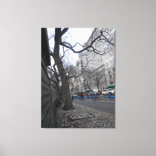 Central Park, New York City, USA Canvas Print
