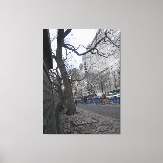 Central Park, New York City, USA Canvas Print (Front)