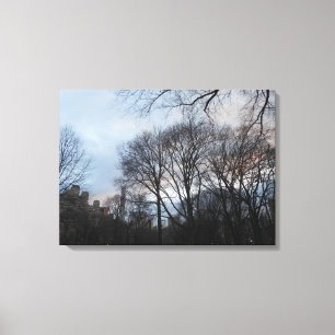 Central Park, New York City, USA Canvas Print
