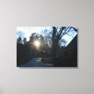 Central Park, New York City, USA Canvas Print