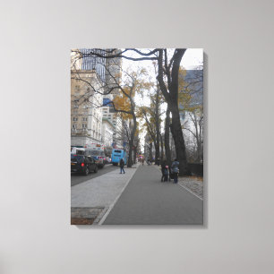 Central Park, New York City, USA Canvas Print