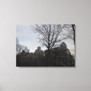 Central Park, New York City, USA Canvas Print