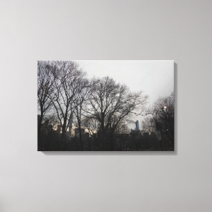 Central Park, New York City, USA Canvas Print