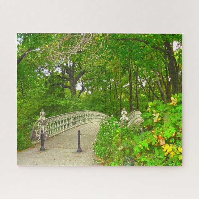 Central Park New York. Jigsaw Puzzle (Horizontal)