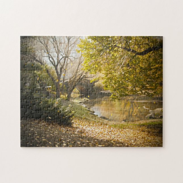 Central Park New York. Jigsaw Puzzle (Horizontal)
