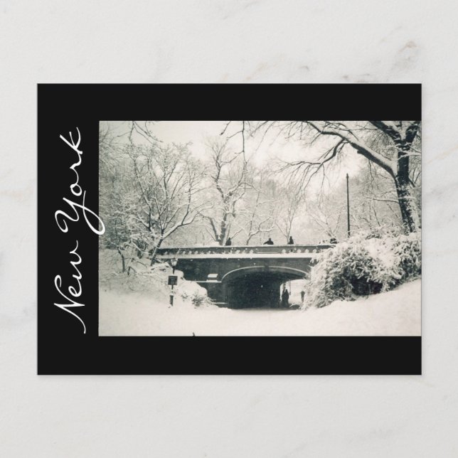 central park new york postcard (Front)