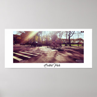 CENTRAL PARK NEW YORK  POSTER
