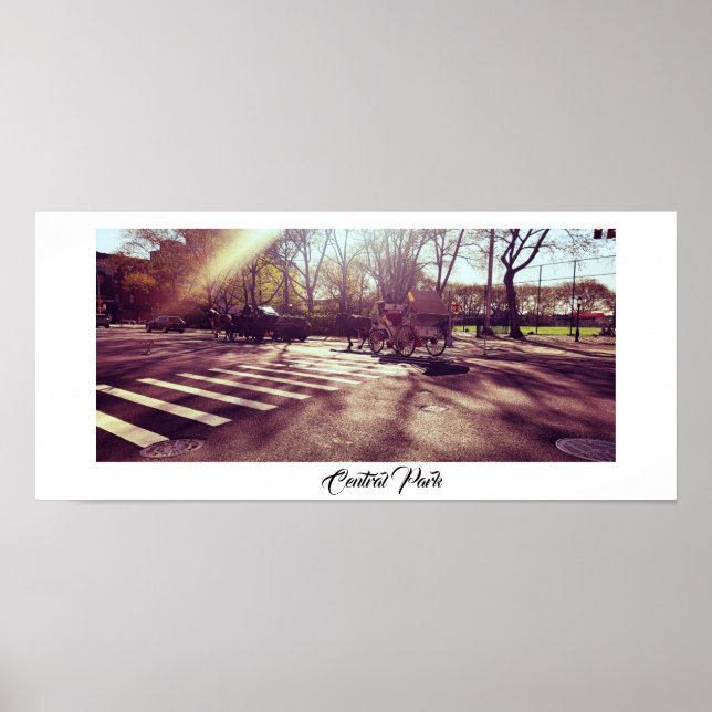 CENTRAL PARK NEW YORK  POSTER (Front)