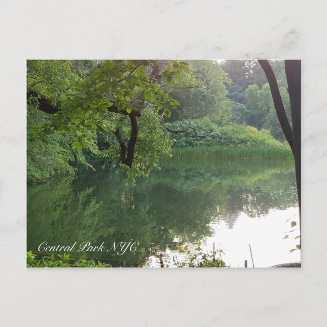 Central Park New York Turtle Pond in Summer Postcard (Front)