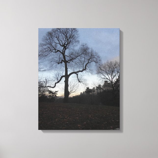 Central Park. NYC Canvas Print (Front)