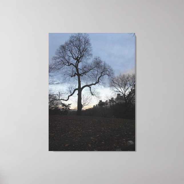 Central Park. NYC Canvas Print (Front)