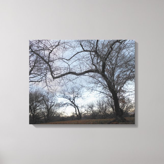 Central Park. NYC Canvas Print (Front)