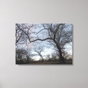 Central Park. NYC Canvas Print