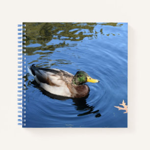 Central Park NYC Conservatory Water Mallard Duck Notebook
