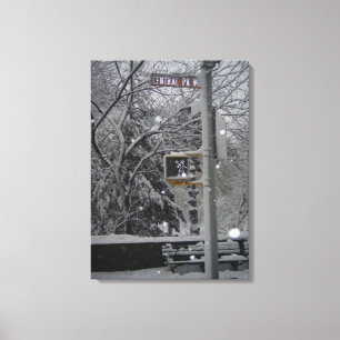 Central Park NYC New York City Winter Snow Photo Canvas Print