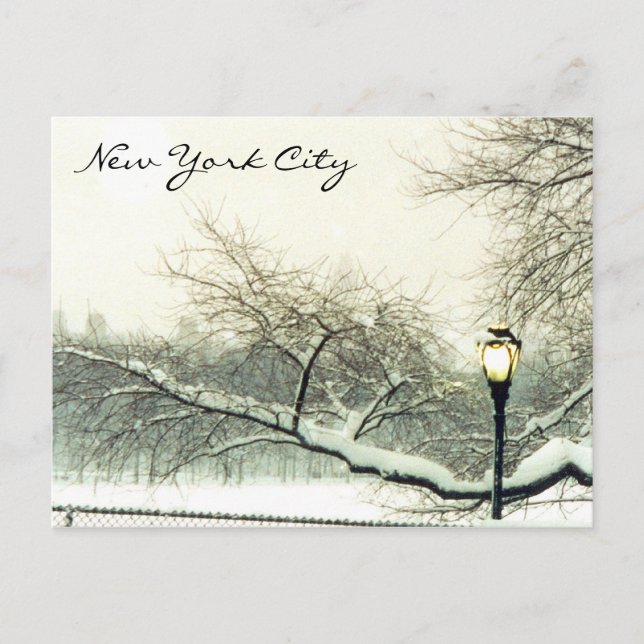 central park nyc tree postcard (Front)