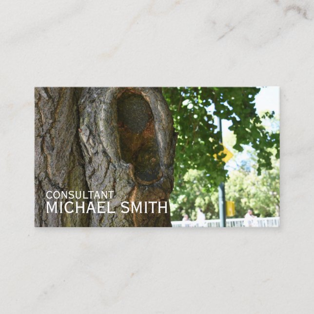 Central Park NYC Tree Trunk Nature Photography Business Card (Front)