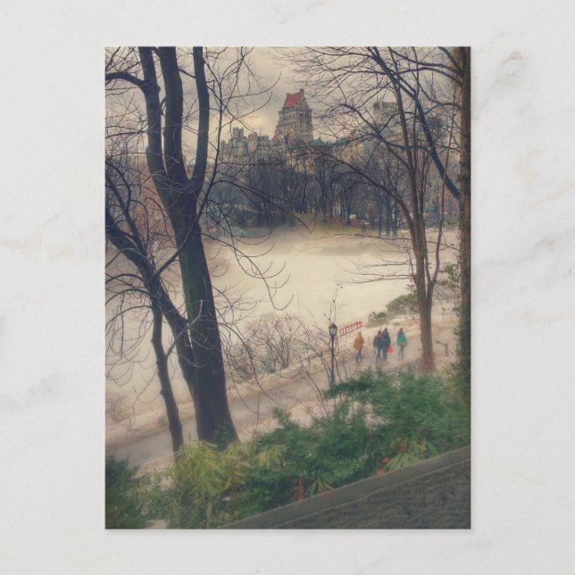 Central Park on a warm winter's day. Postcard (Front)