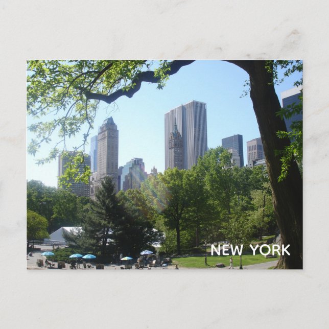 Central Park Postcard (Front)