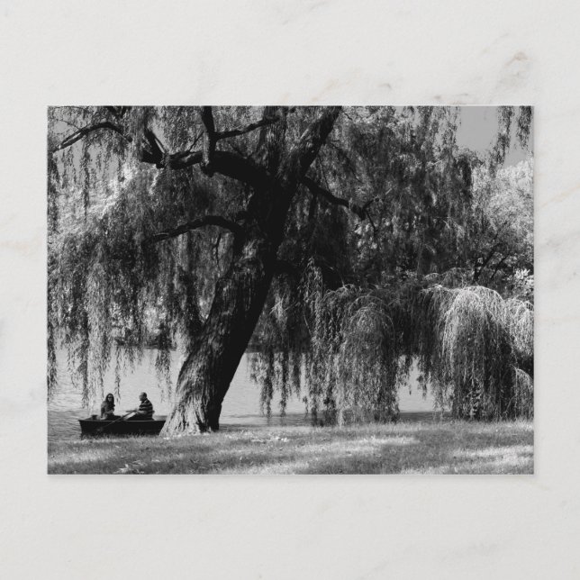 Central Park Rowboats Postcard (Front)