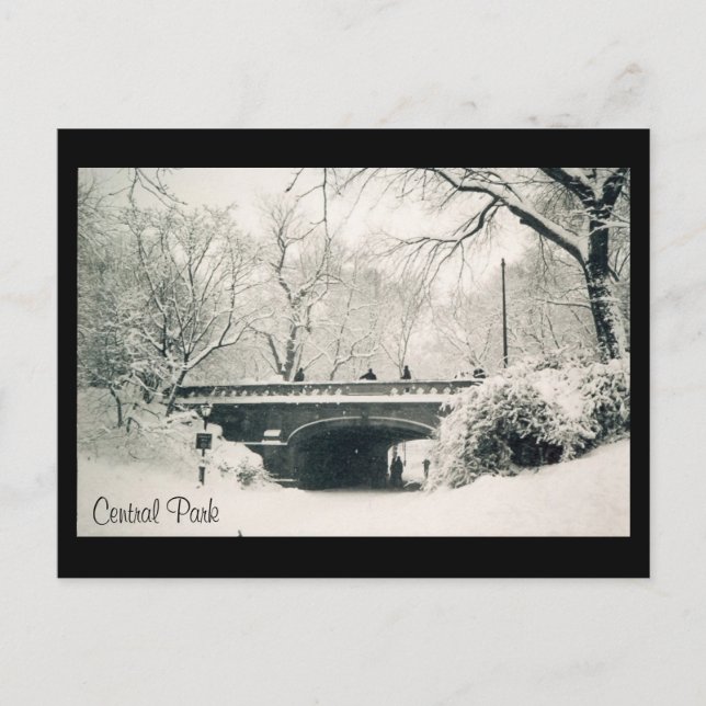 central park snow postcard (Front)
