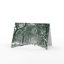 Central Park Snowy Path