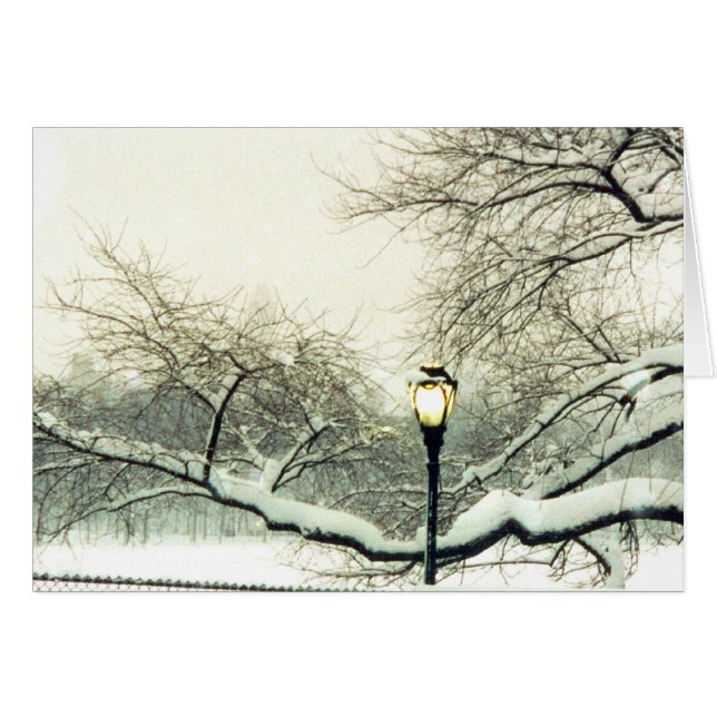 central park snowy tree (Front Horizontal)