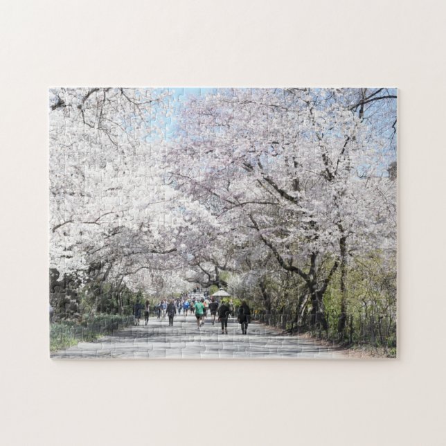 Central Park Spring Cherry Blossoms New York NYC Jigsaw Puzzle (Horizontal)