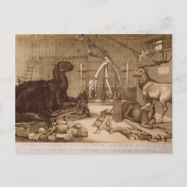 Central Park Studio Benjamin Waterhouse Hawkins Postcard (Front)