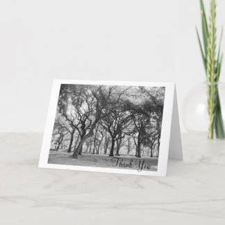 Central Park Thank You Card