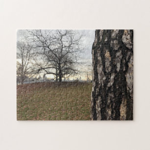Central Park Trees Sunrise NYC New York City Photo Jigsaw Puzzle